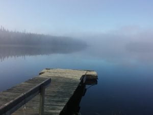 Misty lake